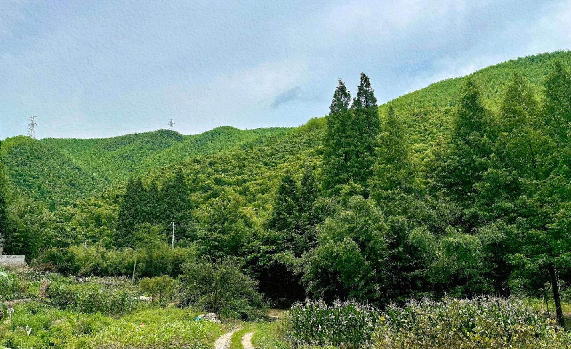 Moganshan Arcadia Resorts Deqing ภายนอก รูปภาพ